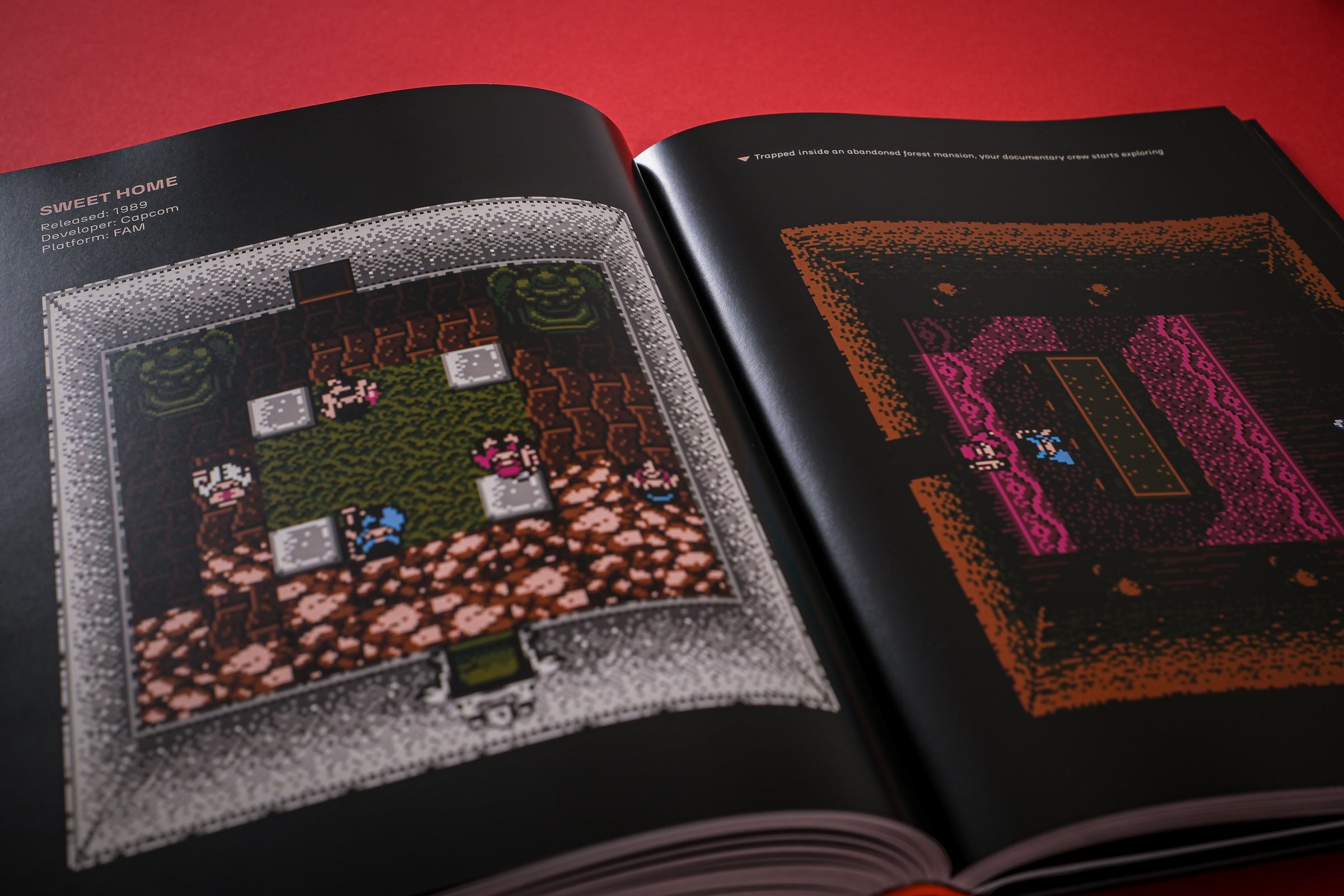 From Ants to Zombies: Six Decades of Video Game Horror | Bitmap Books