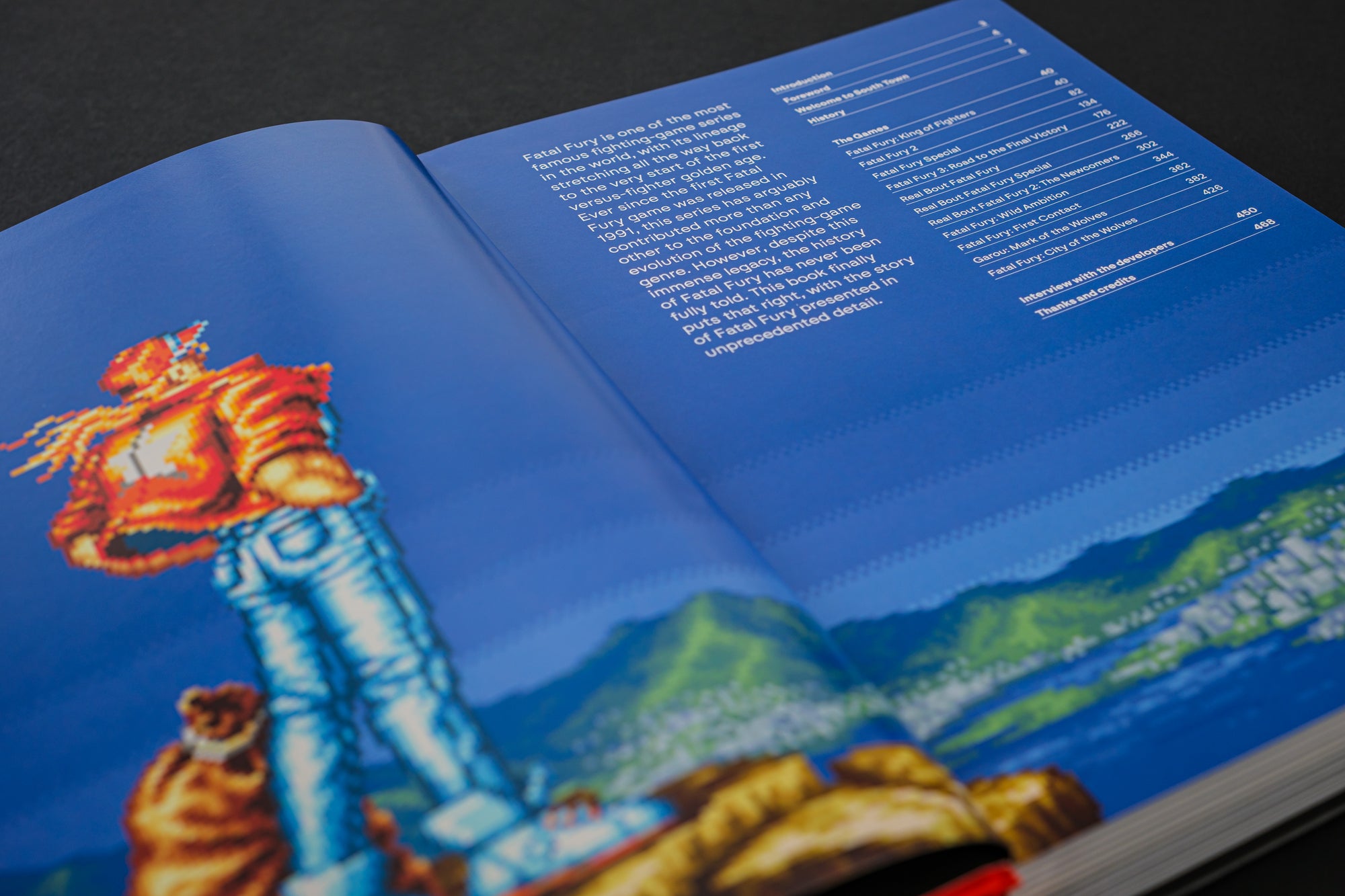 Fatal Fury/Garou Densetsu: The Ultimate History (Collector's Edition)