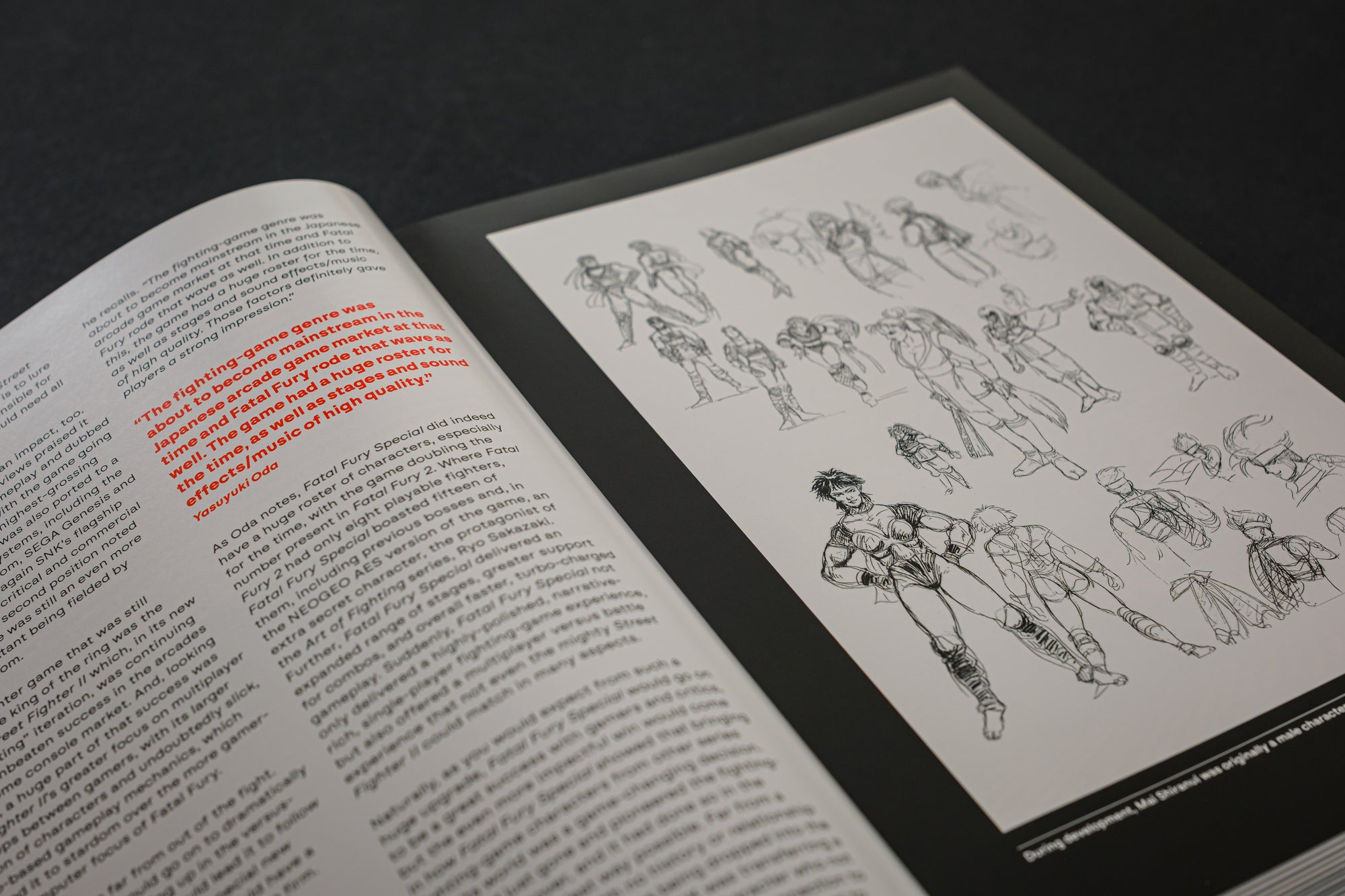 Fatal Fury/Garou Densetsu: The Ultimate History (Collector's Edition)