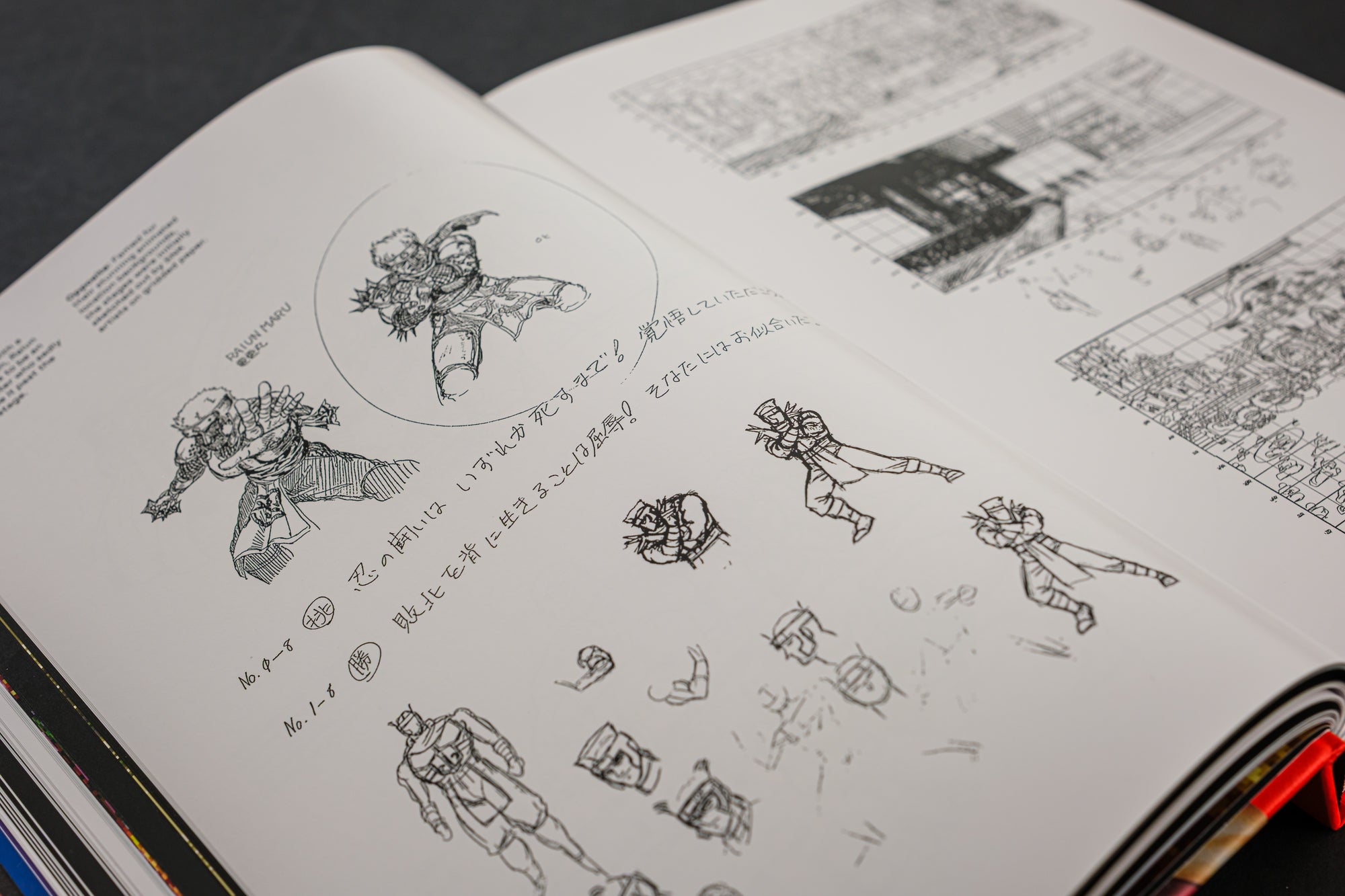 Fatal Fury/Garou Densetsu: The Ultimate History (Collector's Edition)