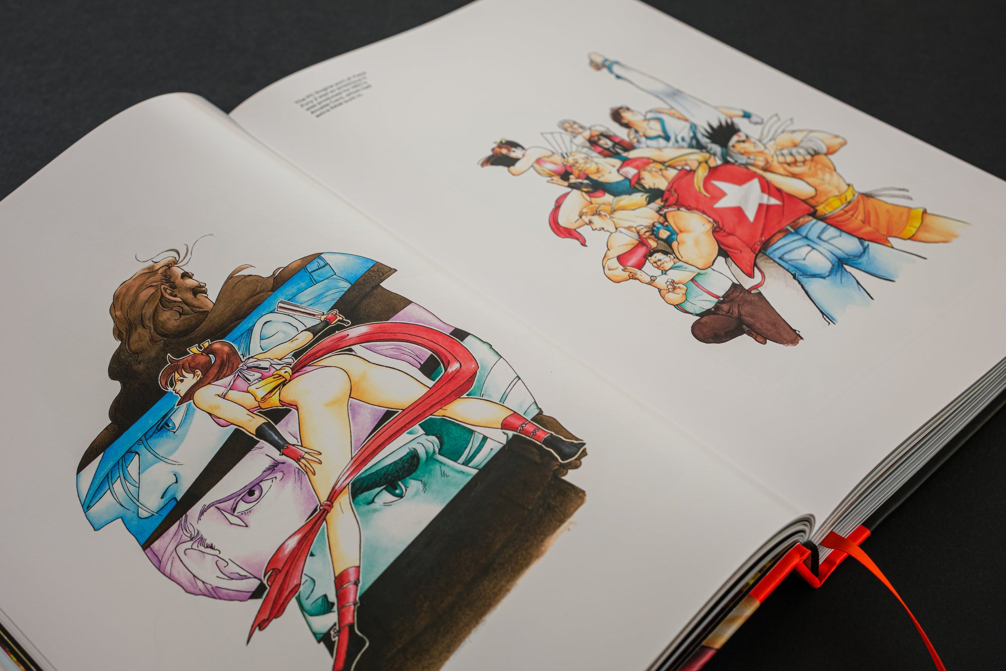 Fatal Fury/Garou Densetsu: The Ultimate History (Collector's Edition)