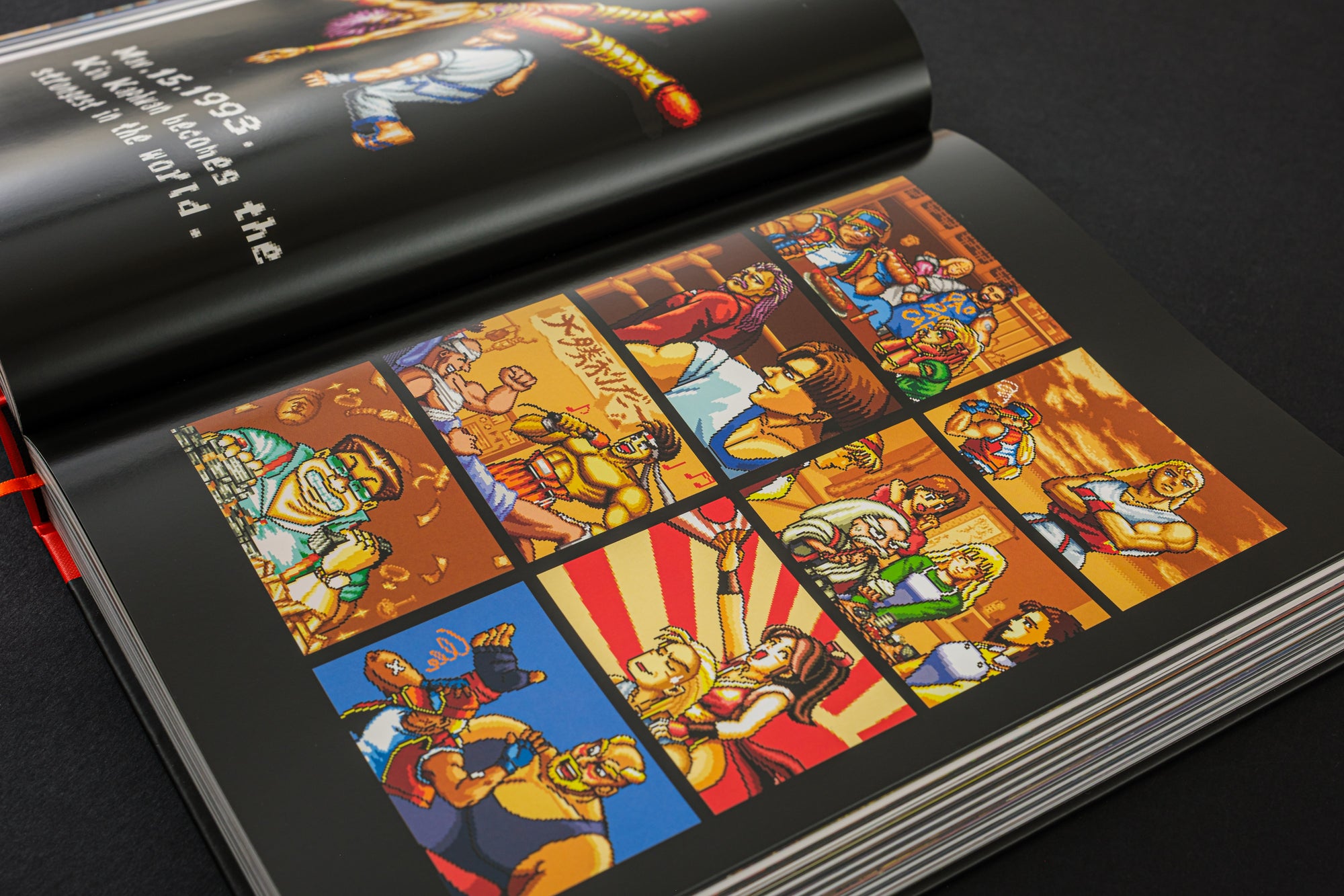 Fatal Fury/Garou Densetsu: The Ultimate History (Collector's Edition)