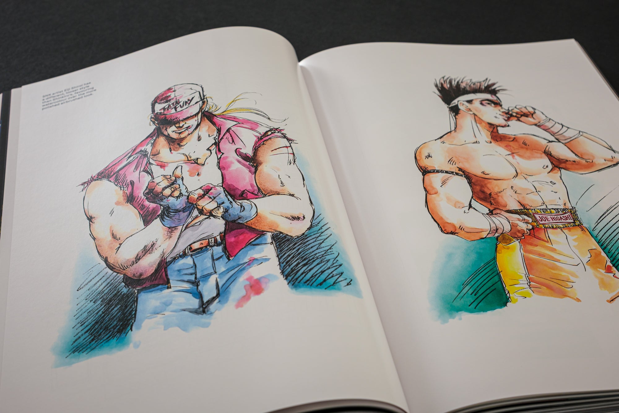Fatal Fury/Garou Densetsu: The Ultimate History (Collector's Edition)