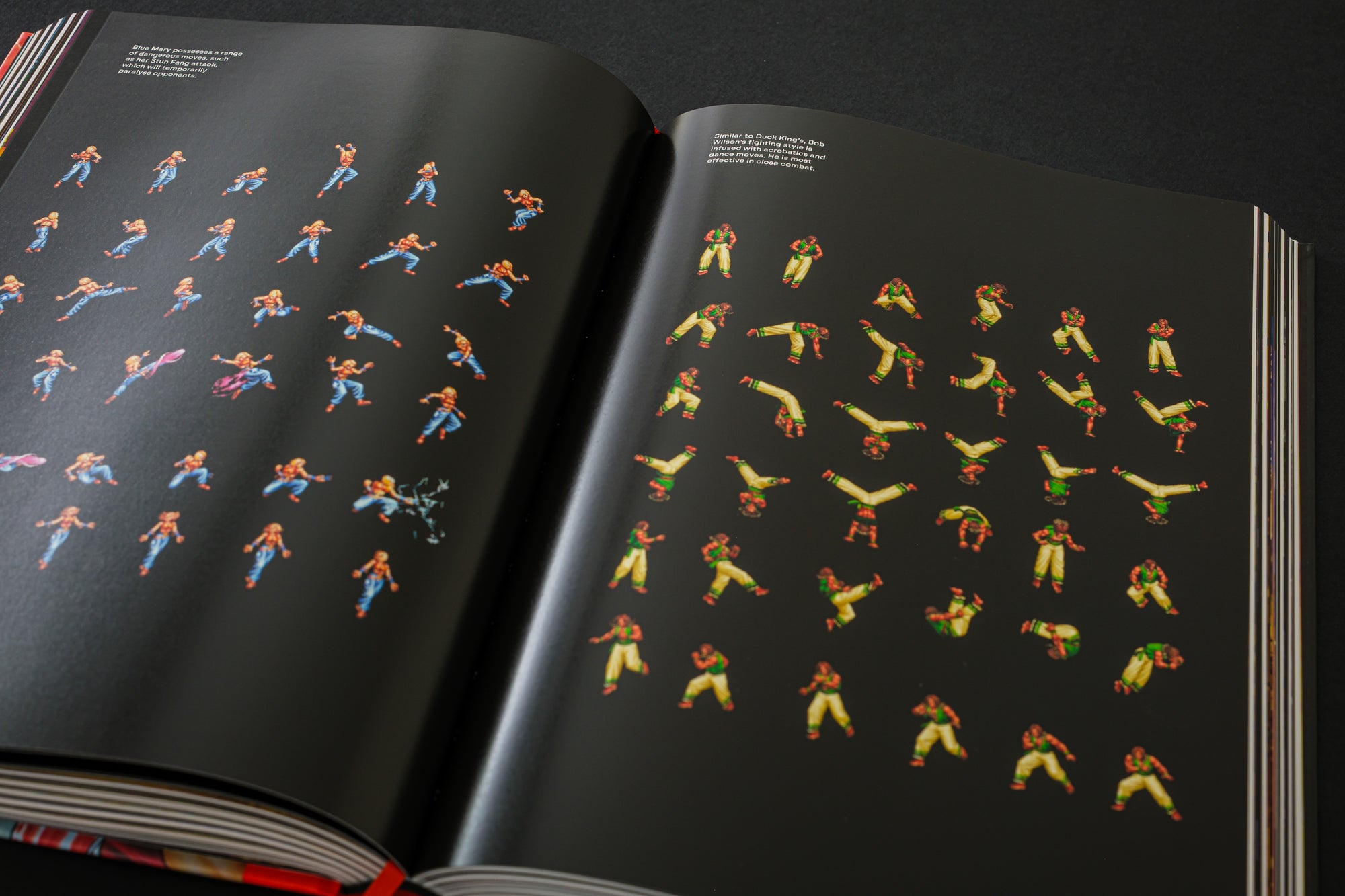 Fatal Fury/Garou Densetsu: The Ultimate History (Collector's Edition)