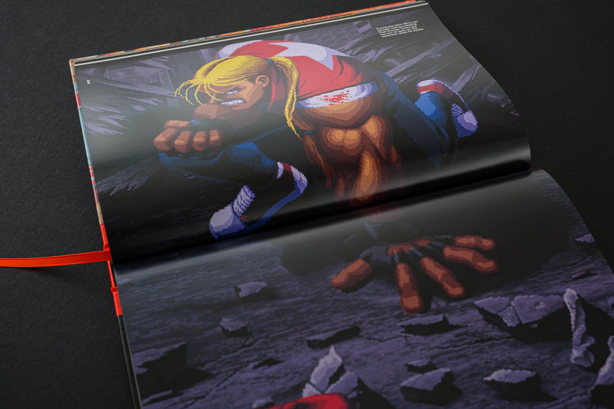 Fatal Fury/Garou Densetsu: The Ultimate History (Collector's Edition)
