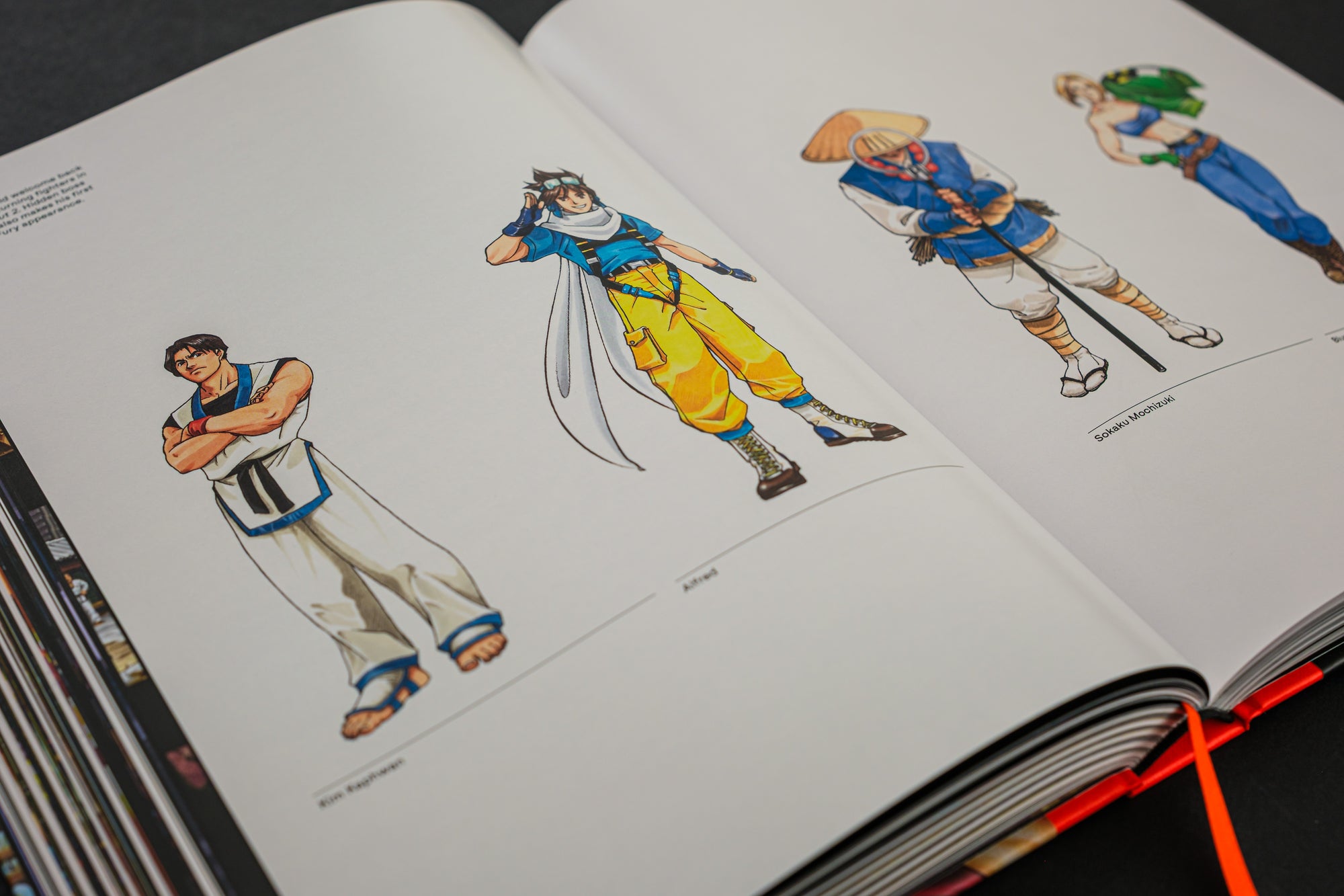 Fatal Fury/Garou Densetsu: The Ultimate History (Collector's Edition)