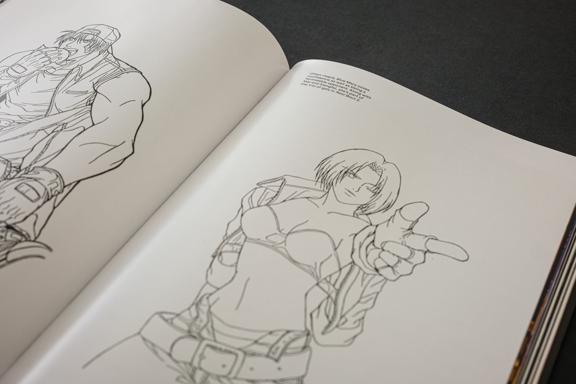 Fatal Fury/Garou Densetsu: The Ultimate History (Collector's Edition)