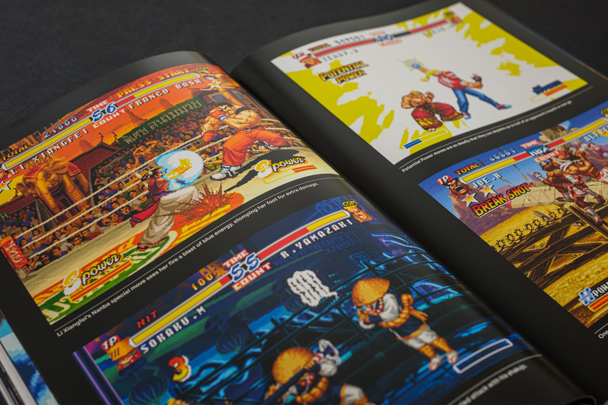 Fatal Fury/Garou Densetsu: The Ultimate History (Collector's Edition)