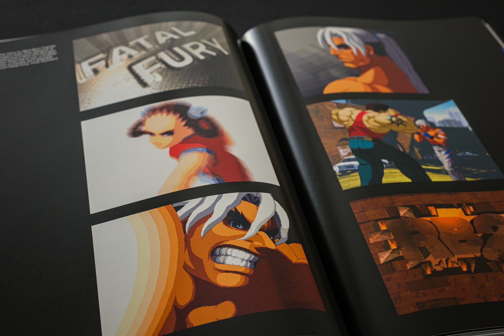 Fatal Fury/Garou Densetsu: The Ultimate History (Collector's Edition)