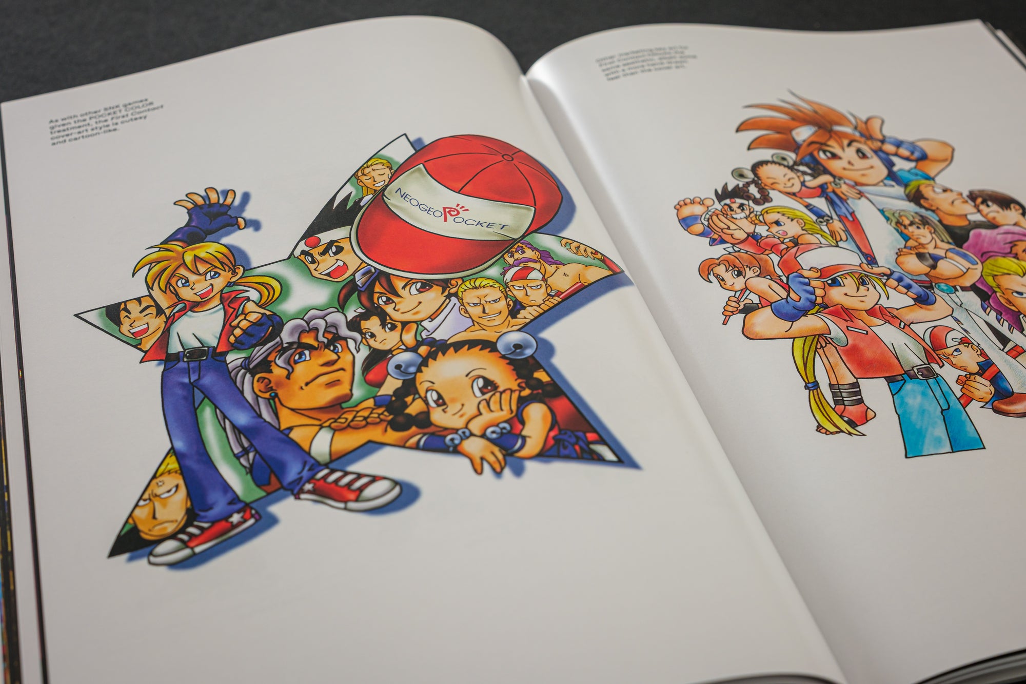 Fatal Fury/Garou Densetsu: The Ultimate History (Collector's Edition)