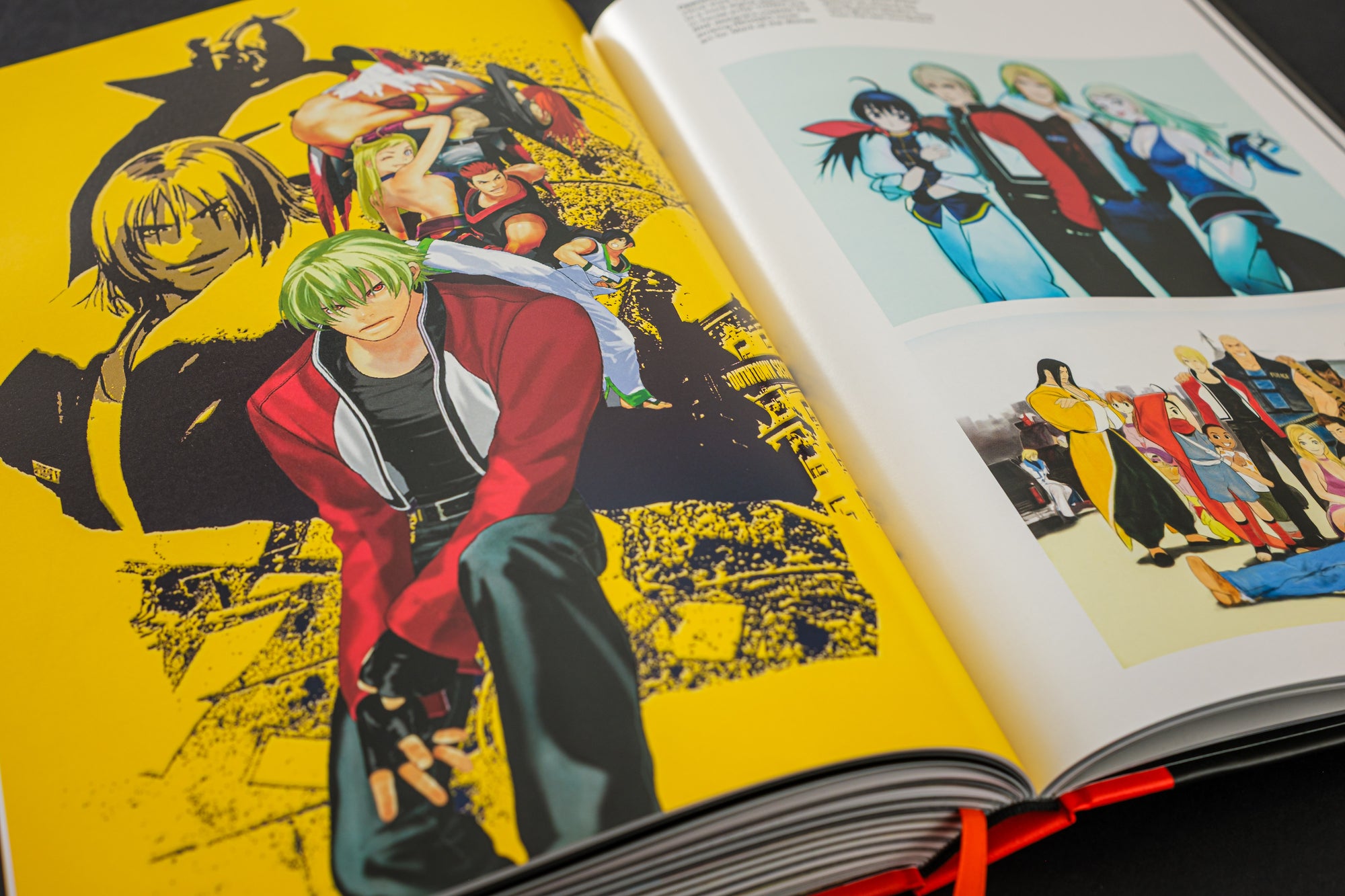 Fatal Fury/Garou Densetsu: The Ultimate History (Collector's Edition)