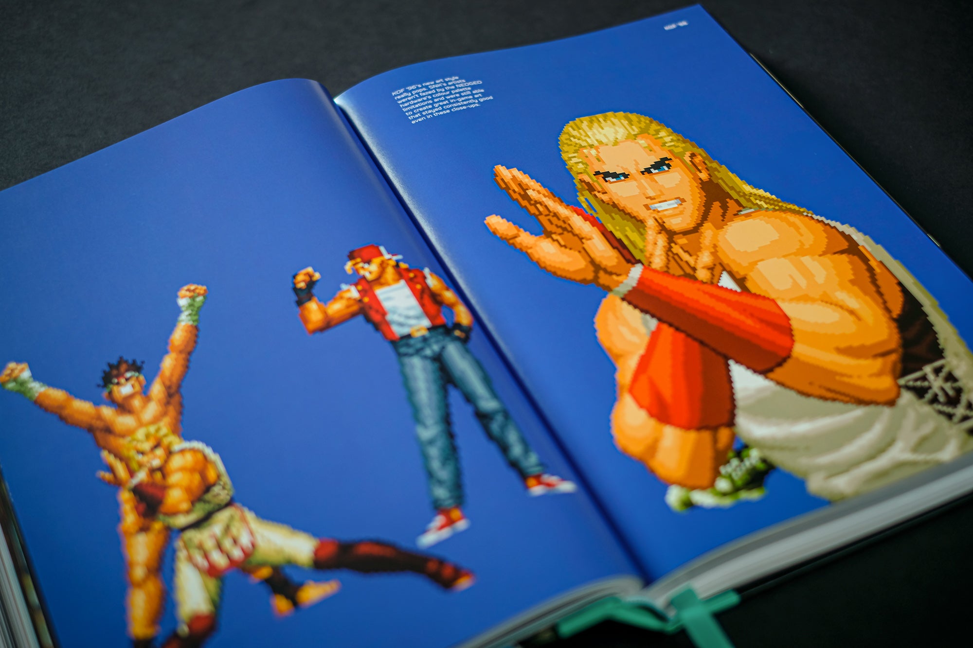 THE KING OF FIGHTERS: The Ultimate History : Bitmap Books: : Books